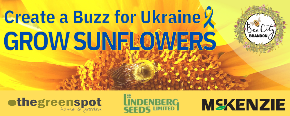 Create a Buzz for Ukraine, Grow Sunflowers. Sponsored by Bee City Brandon, The Green Spot, Lindenberg Seeds, and McKenzie Seeds.