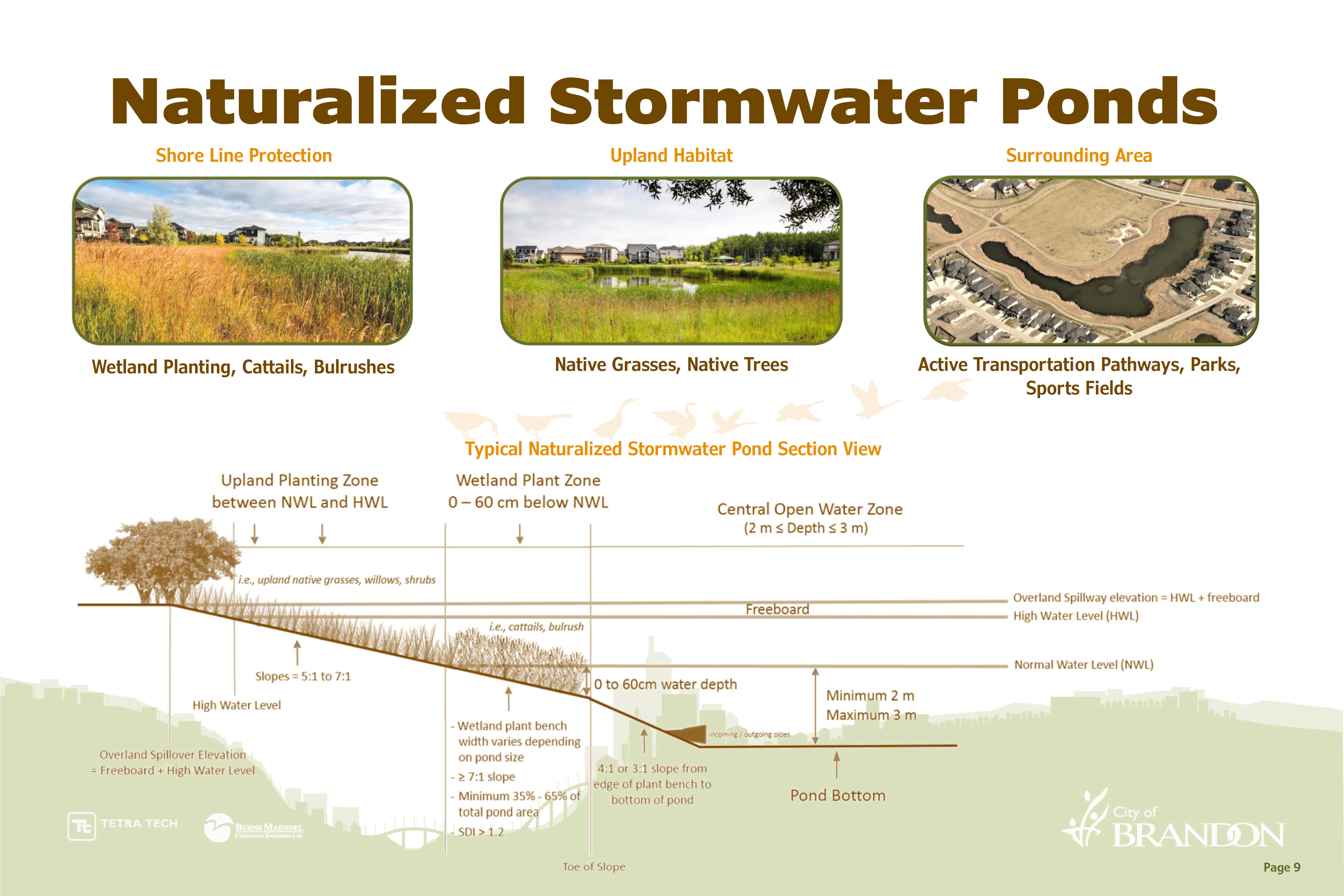 Naturalized Stormwater Ponds