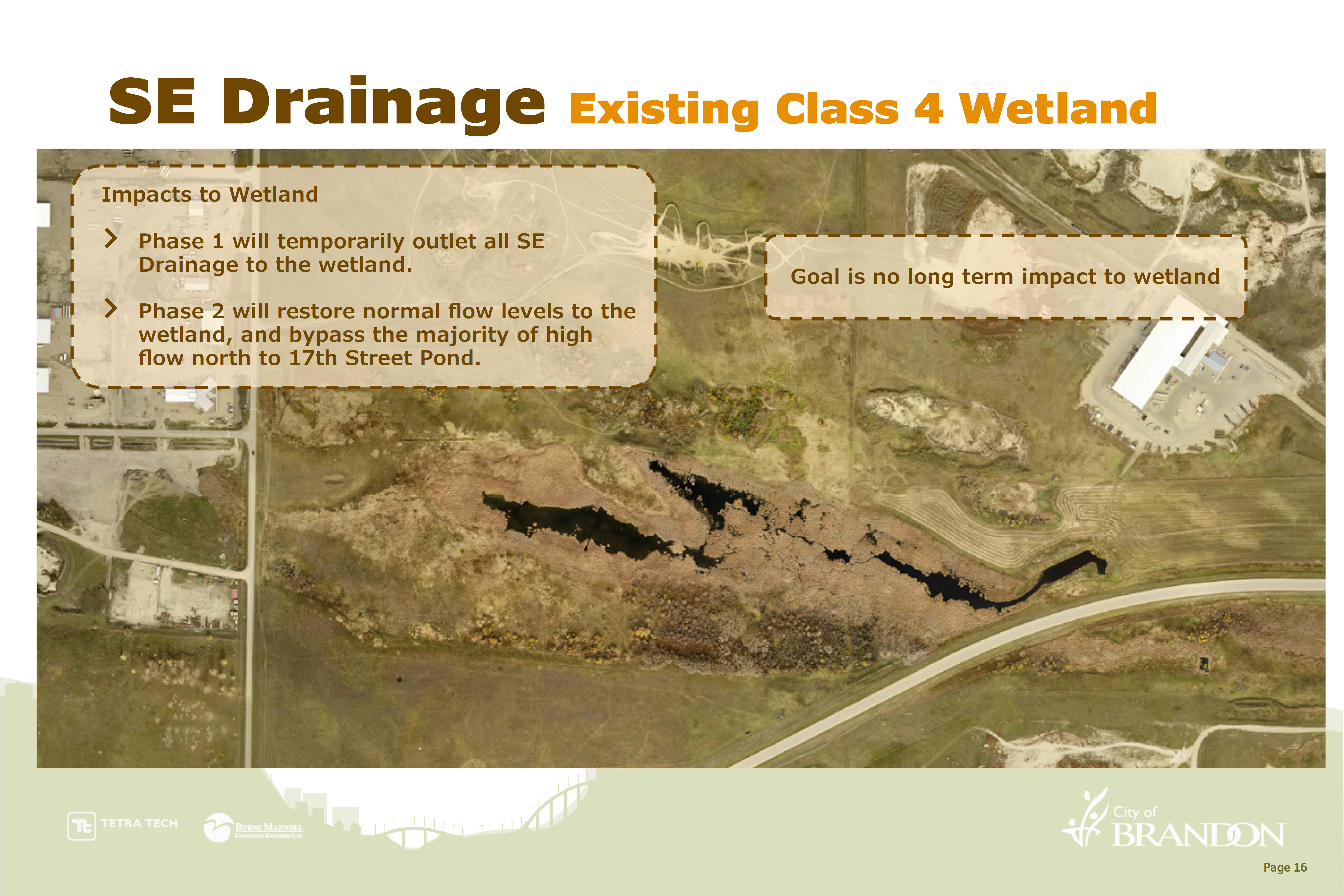 Southeast Drainage Existing Class 4 Wetland