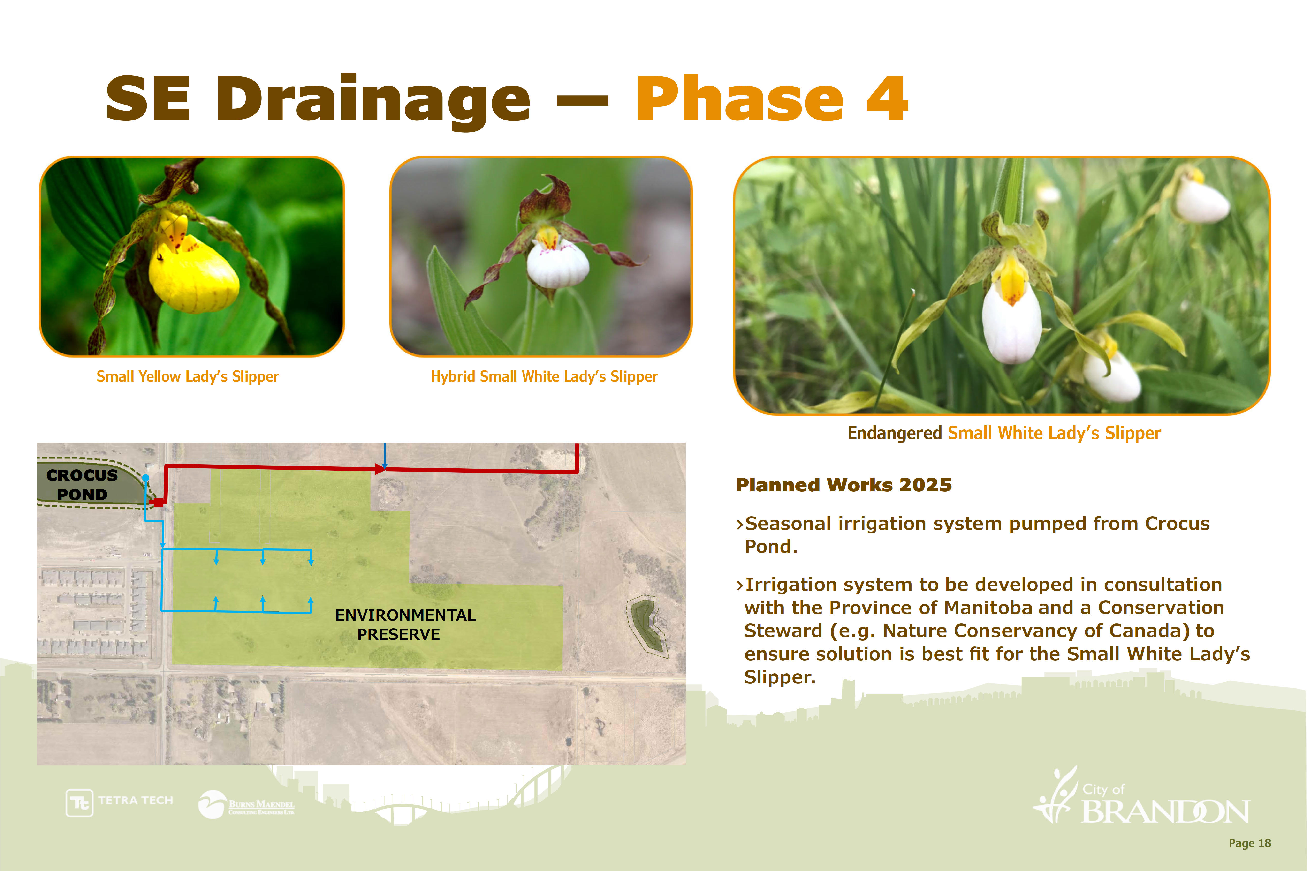 Southeast Drainage - Phase 4